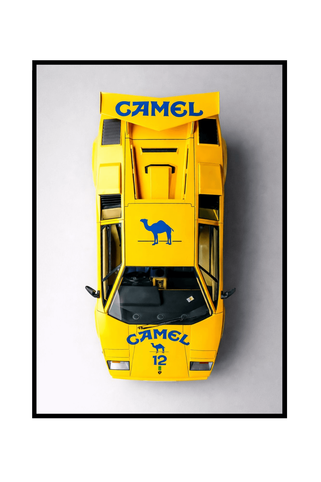 Camel "Lambo"