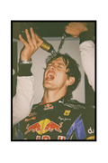 VETTEL - WORLD CHAMPION